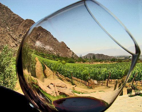 Vinos nuestros
